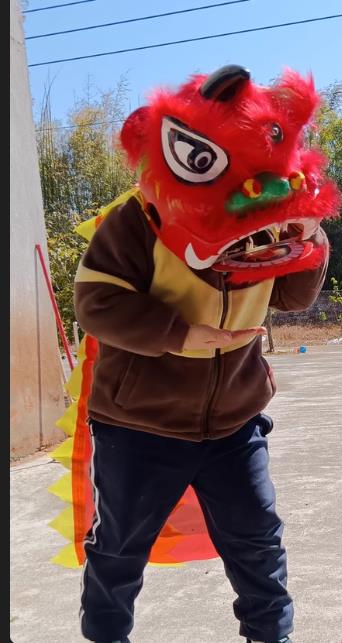 2-5 age 12inch Lion Dance Set  - Kids Outdoor Nature Toys 评论和价格